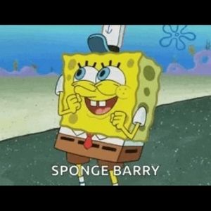 Meet your Posher, Barry